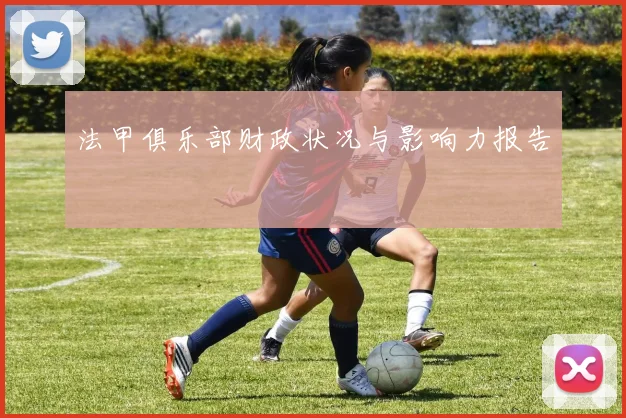 法甲俱乐部财政状况与影响力报告